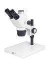 Basic Trinocular Microscope